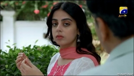 Haq Mehar - Episode 02 - 30th July 2024